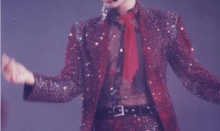 怀念张国荣演唱会2013 怀念张国荣演唱会2013